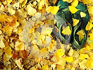 Pair of old black shabby worn shoes in fall yellow foliage