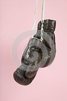 a pair of old boxing gloves hung in front of a candy-pink background