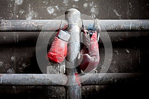 Pair of old and tattered boxing gloves photo