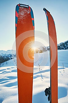 Pair of orange skis for ski touring
