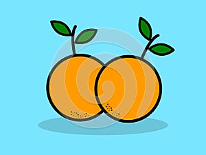 Pair of oranges on a blue background