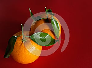 Pair of oranges with leaves
