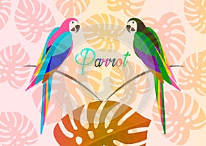 Pair of parrots, tropical parrot bird icon image illustration design multi colored, isolated or whit floral summer pattern