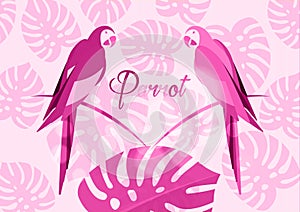 Pair of parrots, tropical parrot bird icon image vector illustration design pink monochromatic, exotic birds