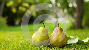 Pair of pears on the grass in the garden. Selective focus. Generative AI