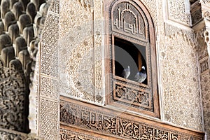 A pair of pigeons at the Bou Inania Madarsa in Fes, Morocco