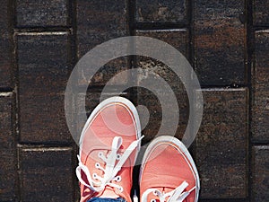 a pair of pink sneakers on the wet asphalt