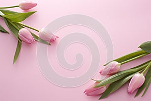 A pair of pink tulip bouquet