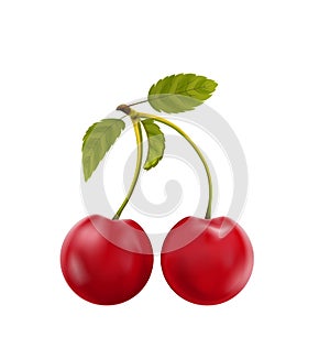 Pair Realistic Pulpy Cherries with Green Leaves