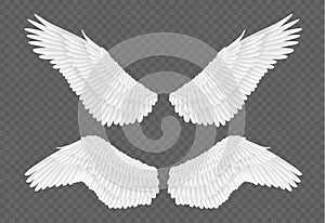 Pair of realistic wings on transparent background. White feather wings 3d for angel, bird design