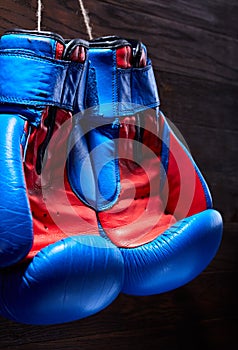 A pair of red and blue boxing gloves hang against wooden wall.