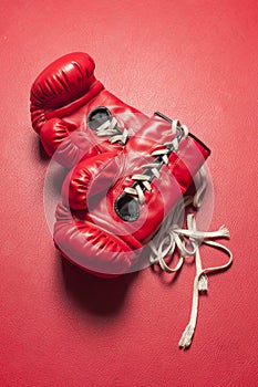 A Pair of red boxing gloves