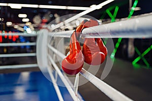 Pair of red boxing gloves hanging on a ropes