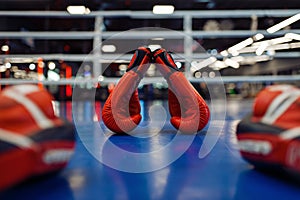 Pair of red boxing gloves and pads on ring, nobody