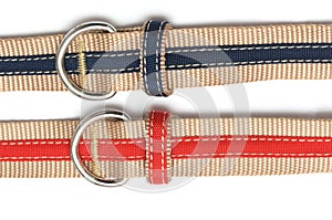 A pair of red and dark deep blue canvas material fabric belts with belt loops rings white backdrop