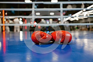 Pair of red leather boxing gloves on ring, nobody