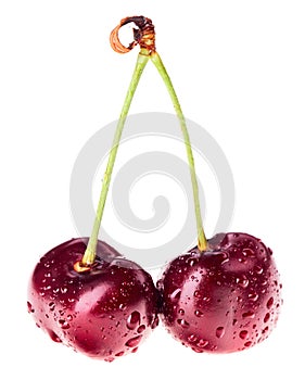 Pair of red ripe cherry fruit with water drops