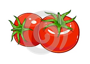Pair red ripe tomato vector illustration eps10