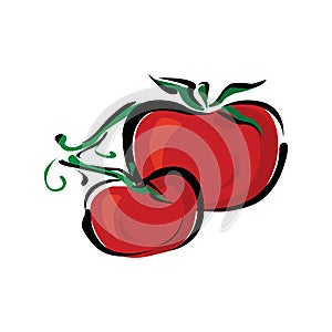 Pair red ripe tomato vector illustration. Isolated white background in EPS10