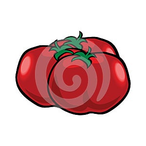 Pair red ripe tomato vector illustration. Isolated white background in EPS10