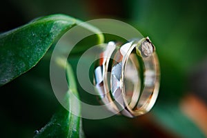 A pair of rings