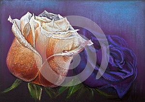 Pair roses as a symbol of love. Hand drawing in pastel on dark paper. Bitmap image