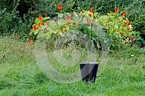 A pair of rubber boots standing in front of Indian watercress bench