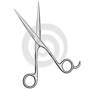 Pair of Scissors Vector Image