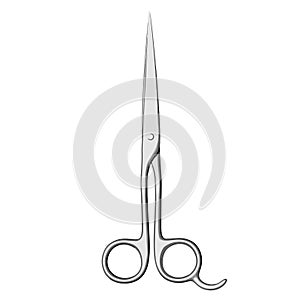 Pair of Scissors Vector Image