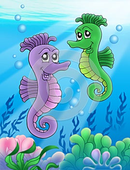 Pair of sea horses