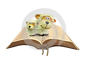 Pair of sheep on open holy bible