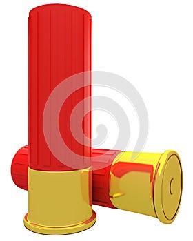 Pair of shotgun shells