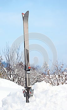 Pair of ski in the snow standing vertically