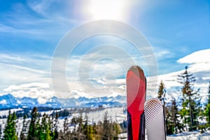 A pair of skis with blurred view on forest and snowy Tatra Mountains in winter