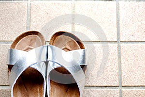 A pair of slipper on skin of silver on beige tiles background