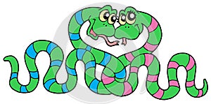 Pair of snakes in love
