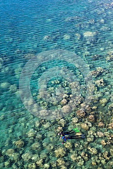 Pair of Snorkelers Explore Coral Reef in Palau