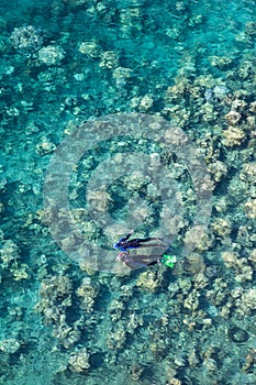 Pair of Snorkelers Swimming Over Coral Reef in Palau