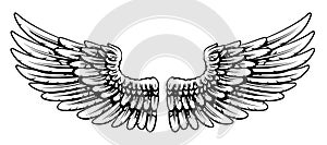 Pair of Spread Eagle or Angel Feather Wings