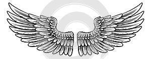 Pair of Spread Eagle or Angel Feather Wings