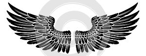 Pair of Spread Eagle or Angel Feather Wings