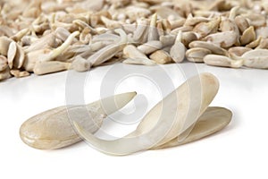 Pair of sprouted sunflower seeds on a white background. Full depth of field.