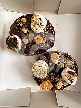 Pair of Tempting Chocolate, Cracker and Marsh Mellow Smores Donuts photo