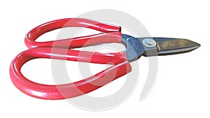 A pair of toad scissors or fabric scissors isolated