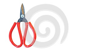 A pair of toad scissors or fabric scissors isolated