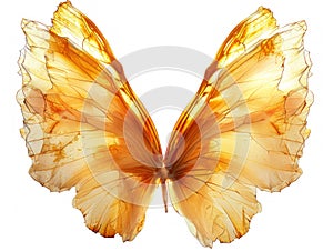 a pair of translucent golden luxury wings isolated on white background,for photo shots or maternity shots ,