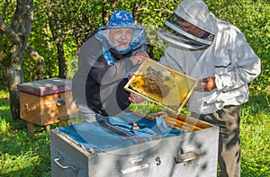 Pair of Ukrainian bee-keepers at work place