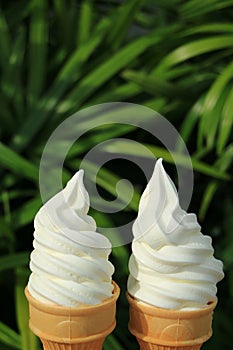 Pair of vanilla soft serve ice cream cones in the sunlight, with green foliage in background