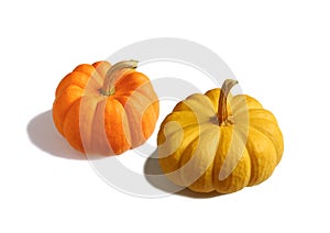 Pair of Vibrant Yellow and Orange Color Ripe Pumpkins with Stem Isolated on White Background