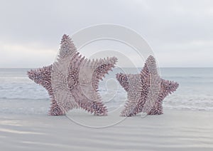 Pair of violet starfish on sandy beach 3d illustration